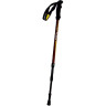 Палки треккинговые TALBERG CLASSIC POLE (1 пара, чёрный)