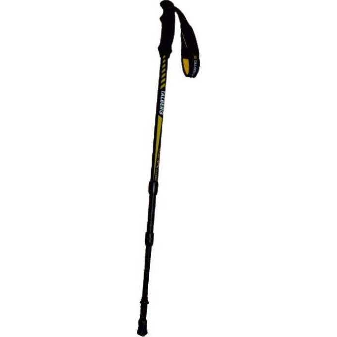 Палки треккинговые TALBERG CLASSIC POLE (1 пара, чёрный)